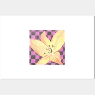 Lily Flower in coloured pencil Posters and Art